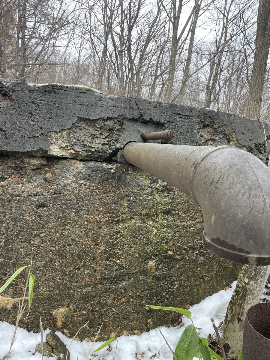 西 factory (@KDbV2ogSfZI1imn) / Posts / X