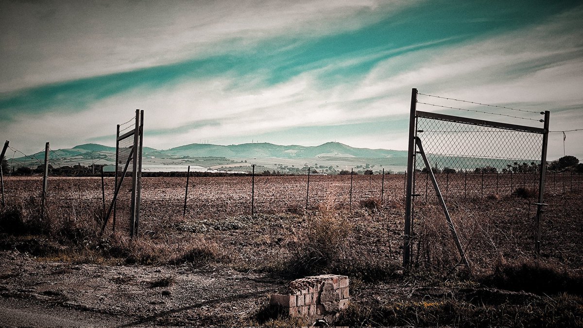 No le pongas puertas al campo 💚
Feliz domingo !!
📱
