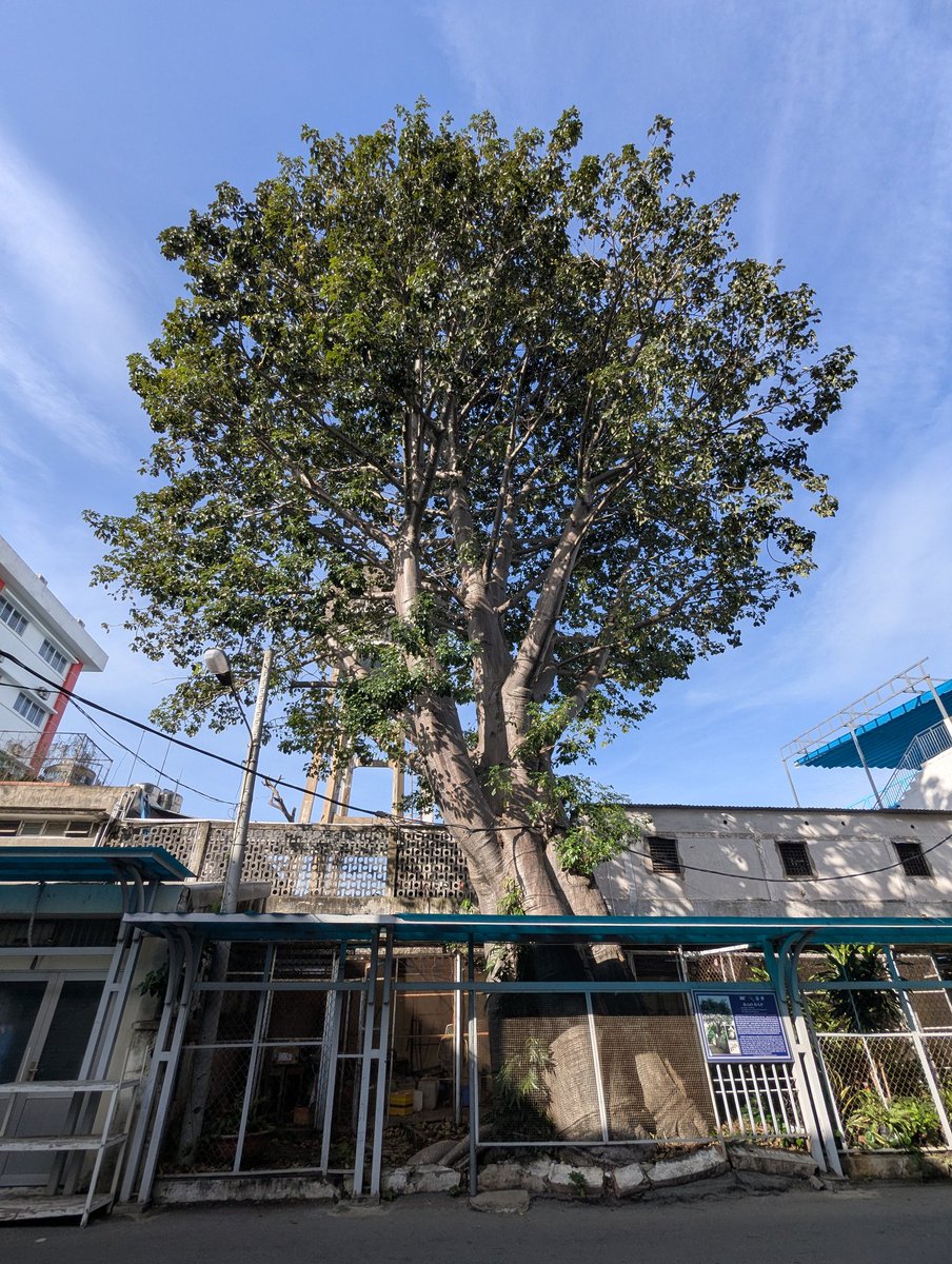 DoLieu_Pi's tweet image. THEO WHITEPAPER PI : 65% TỔNG CUNG DÀNH CHO COMMUNITY MINING REWARDS  

Whitepaper (Dec 2021) quy định rõ : Tổng Max Supply 100B PI, với 65B (65%) dành cho phần thưởng mining cộng đồng – phát dần theo công thức declining exponential decay (giảm dần để tránh lạm…