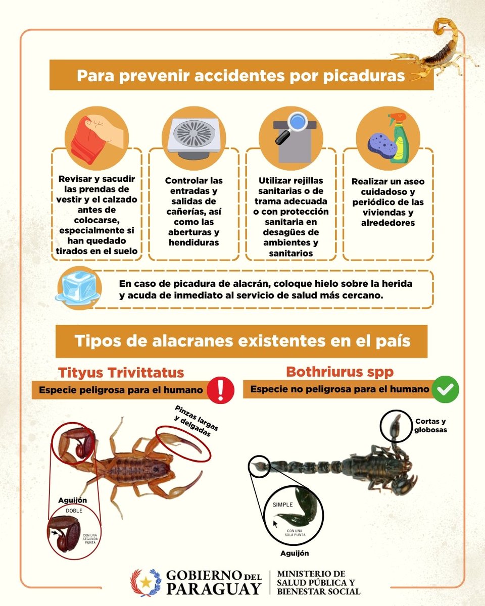 🦂 | Alacranes: ¿qué hacer si aparece en la casa?

En caso de picadura, aplicar hielo sobre la herida y acudir de inmediato al servicio de salud. En el país se dispone de antiveneno para escorpiones de importancia médica.

➕ℹ️ tinyurl.com/2k3ej3tr