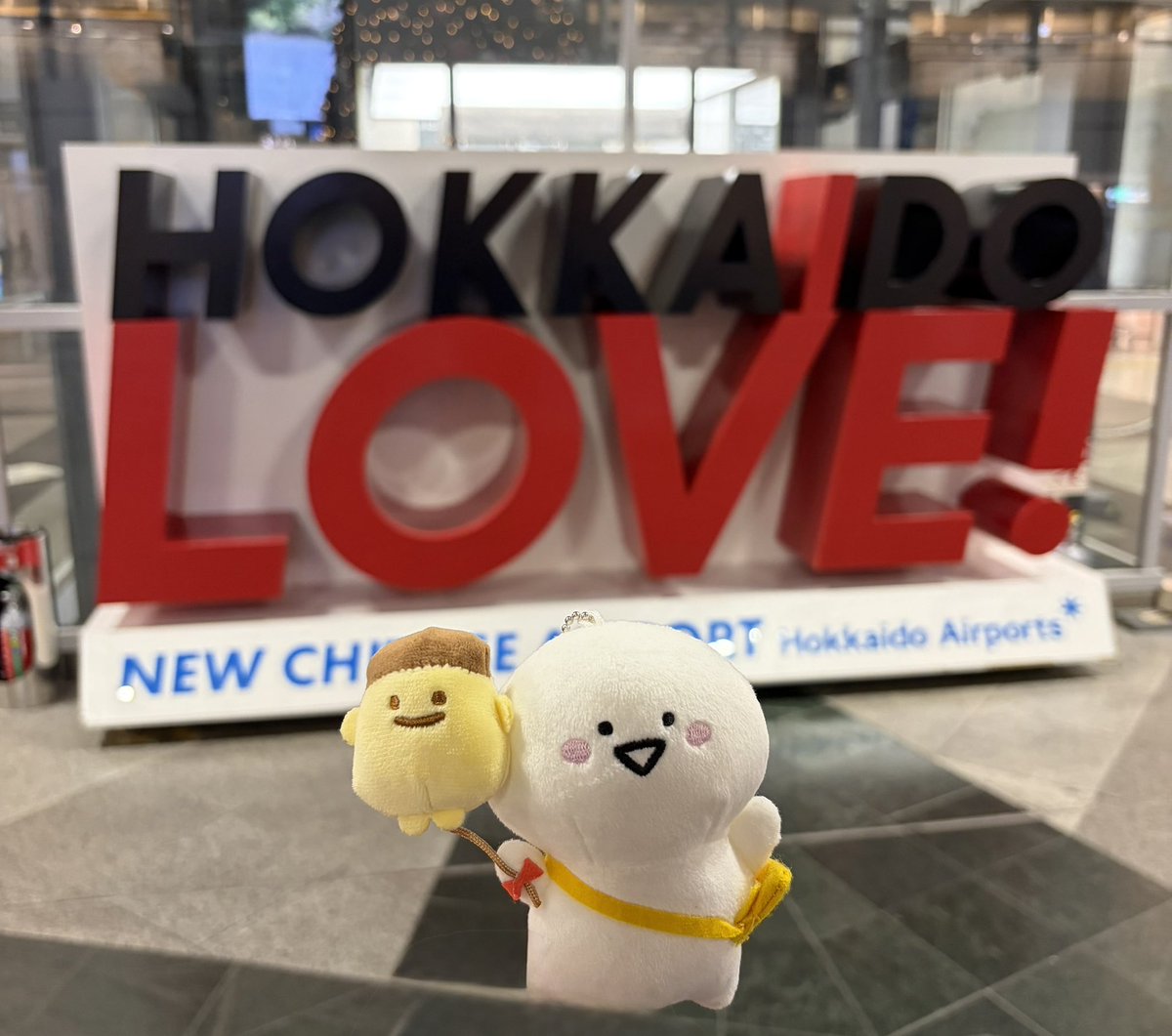 昨日の夜から北海道に遊びに来ました✈️

夜は新千歳空港内の温泉に泊まり、朝から色々お土産に並んで買い漁り昼から札幌観光

それから千歳に戻って帰ろうかとしたら。。大幅な遅延で終電逃し確定🌀

最後の最後に大変困った展開w