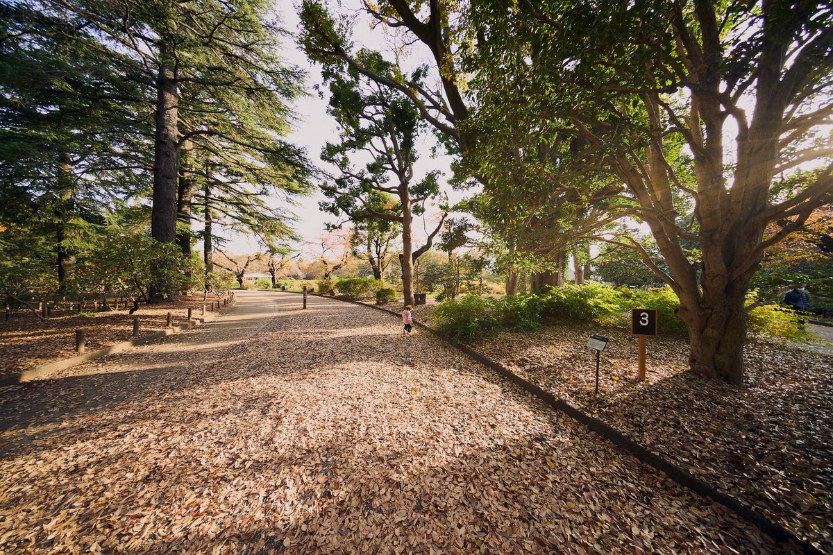 inotality's tweet image. 10mm