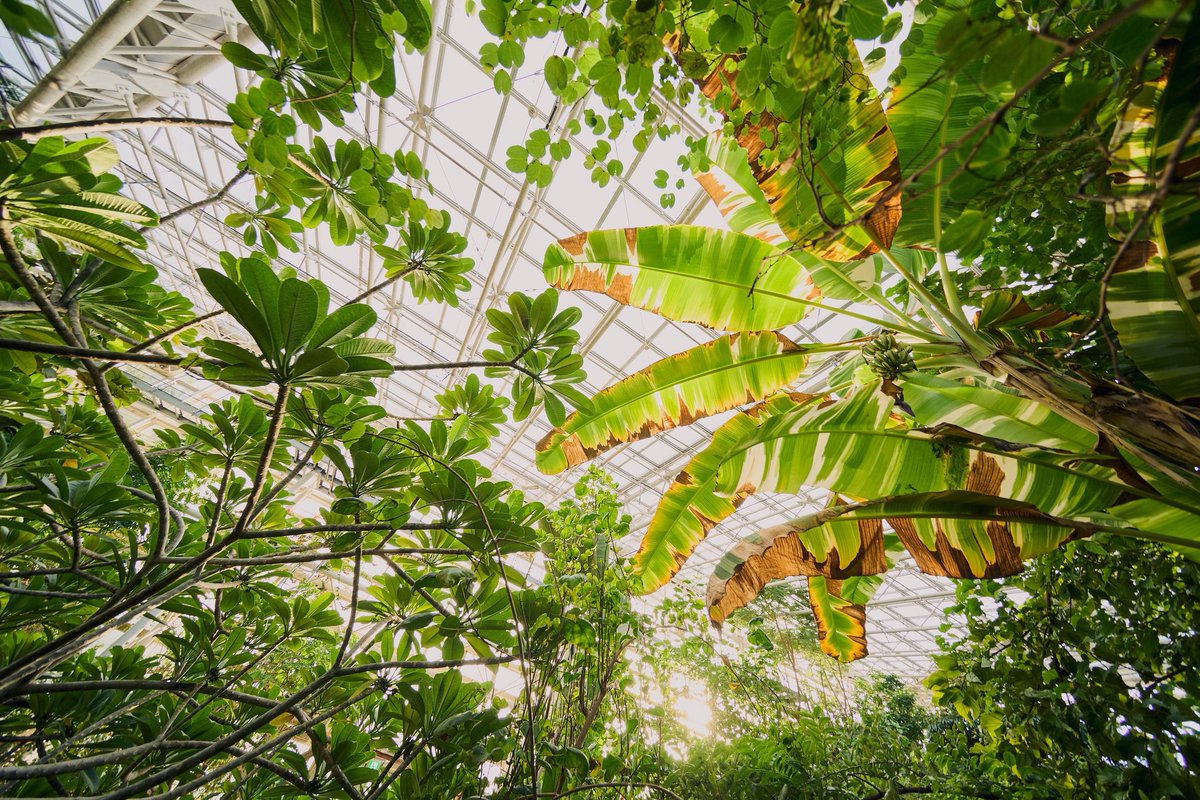 inotality's tweet image. 10mm