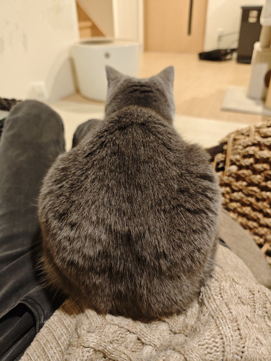 にとり❂ (@x12vt) / Posts / X