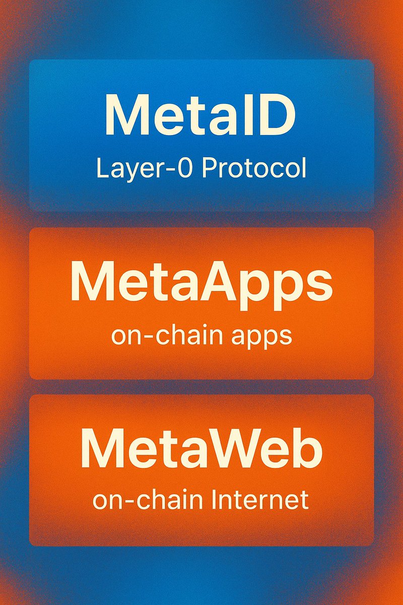 The next generation of the internet should look like the METAID protocol, rather than having all our user data stored on centralized servers, controlled by others.
