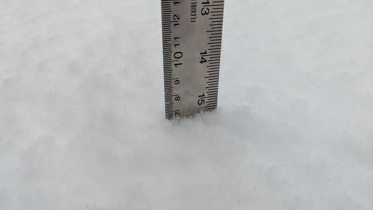 rcbstormpost's tweet image. Tis the season. Snowfall 6.5 cm as of 9am in #GanderWest. More to come. #nlwx