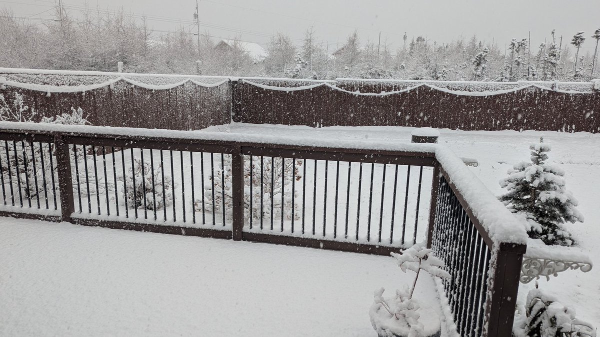 rcbstormpost's tweet image. Tis the season. Snowfall 6.5 cm as of 9am in #GanderWest. More to come. #nlwx