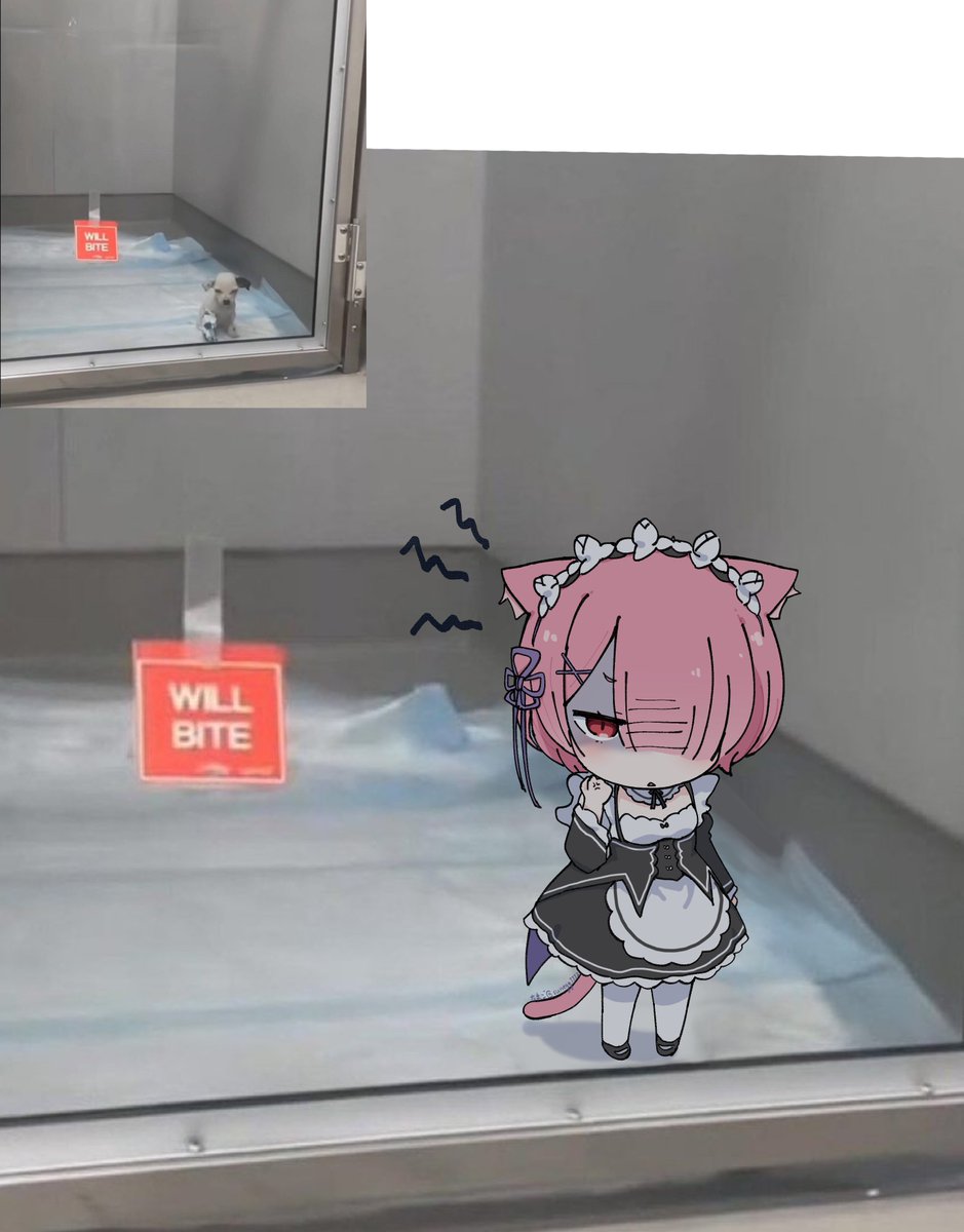 sunegg1112's tweet image. will bite💢
 #リゼロ #rezero