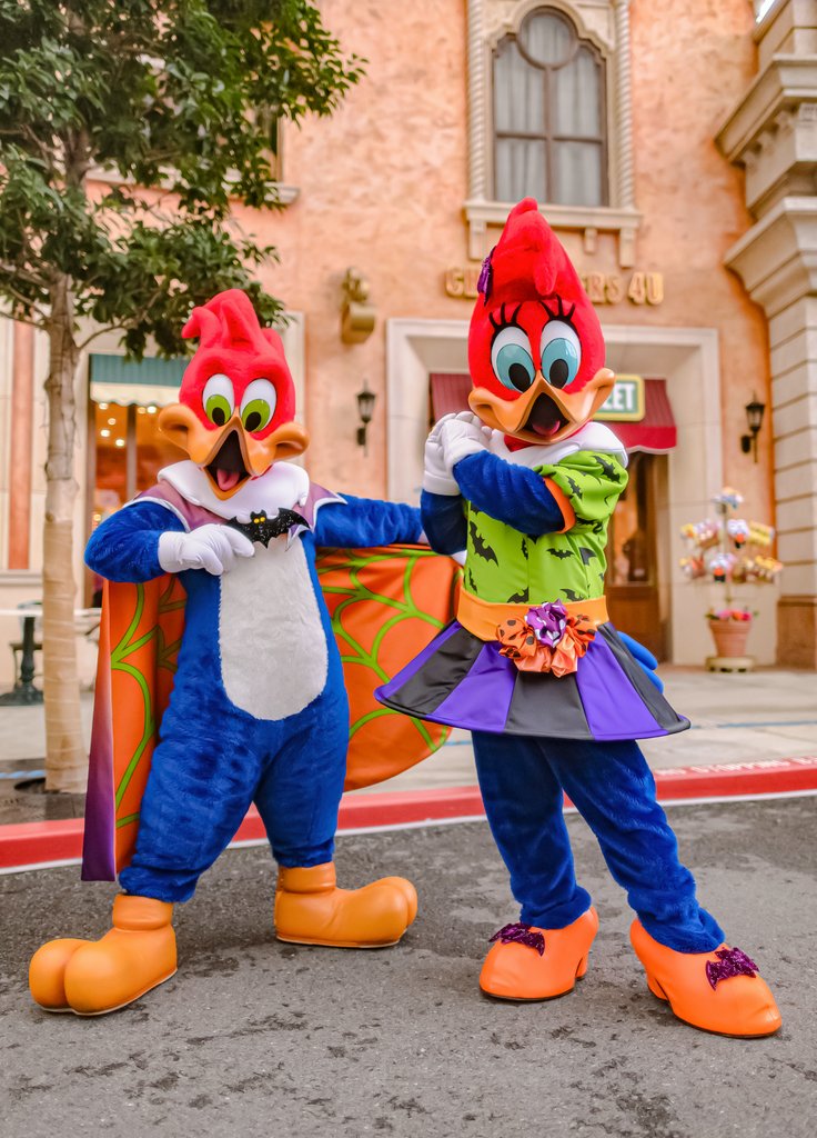 以前からカメラを向けると色んなポーズキメてくれて撮影を楽しませて