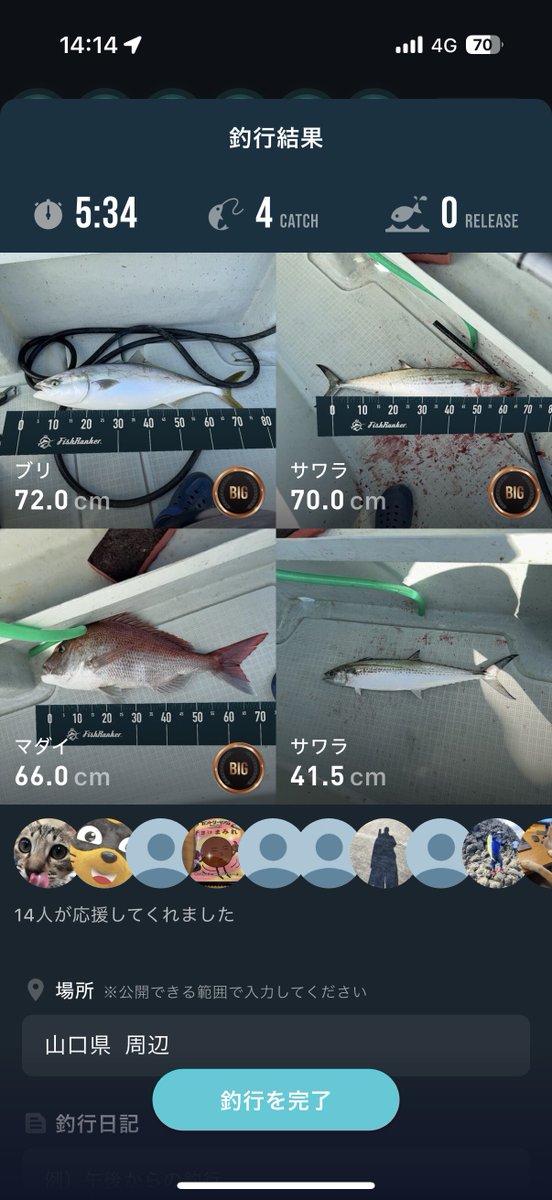 GhiAcc1o's tweet image. Fish Rankerてアプリが便利で気に入った( •̀ω•́ )و