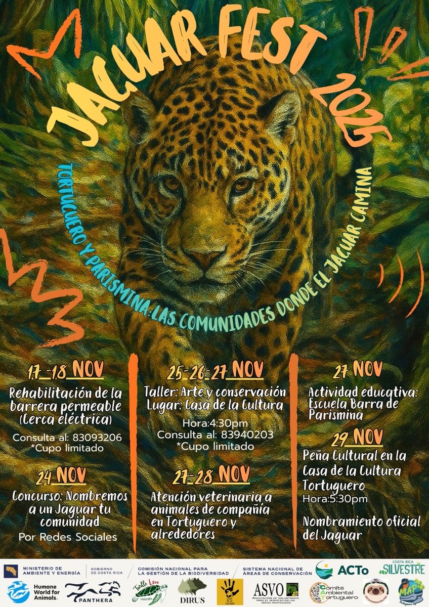 Proyecto Lobo: Voluntariado Censo Lobo Ibérico tweet media