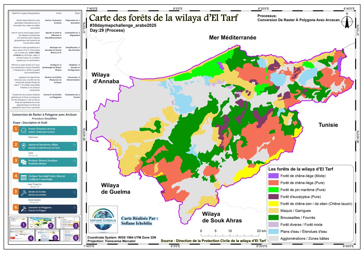 #30daymapchallenge
#30daymapchallenge2025
#30daymapchallenge_arabe2025
Day:23 (Process)
Carte des forêts de la wilaya d’El Tarf _outils ArcScan
Processus:
Conversion De Raster À Polygone Avec Arcscan