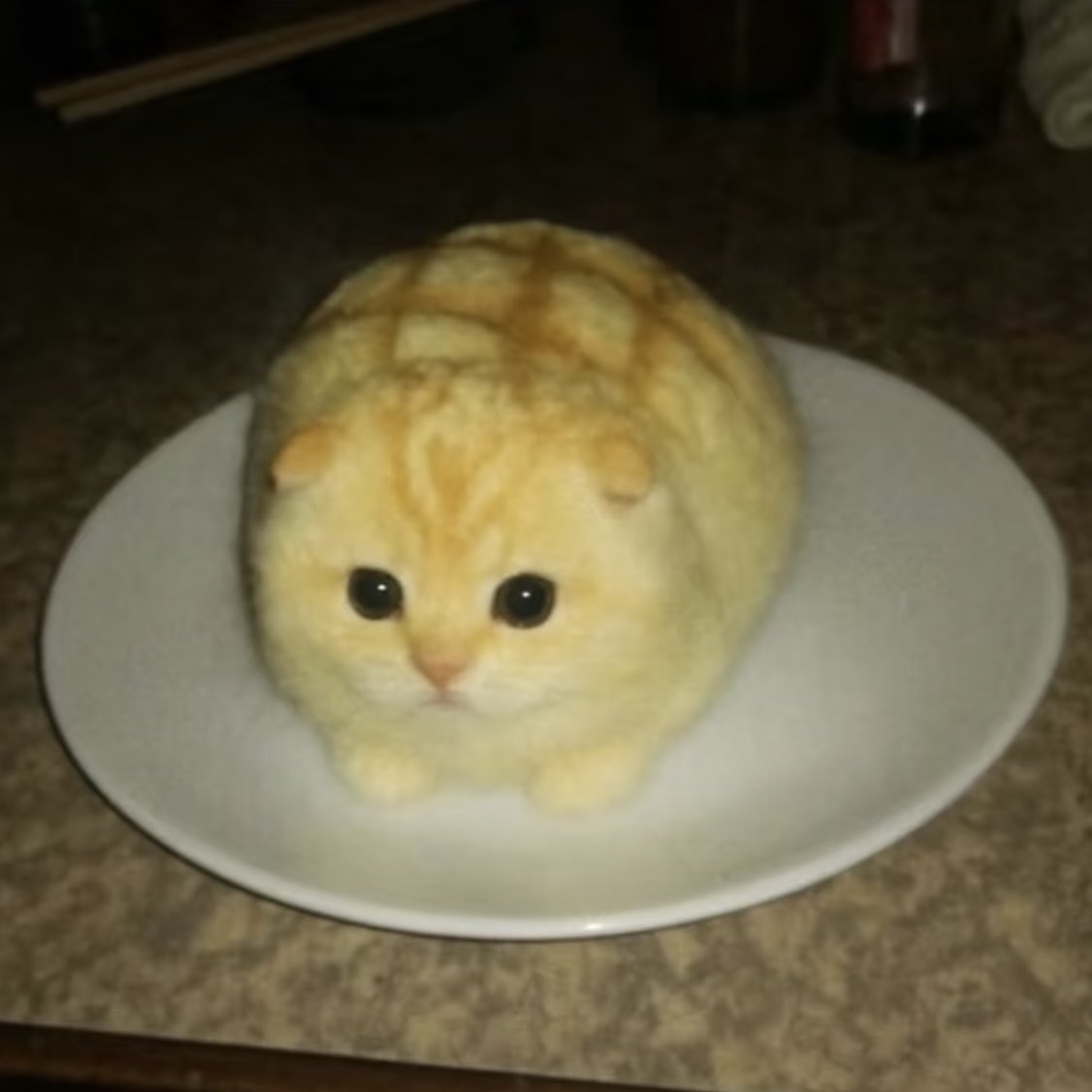 lottie_MEXC's tweet image. GM, where is Europe KOL? Let’s collab!
#mexc