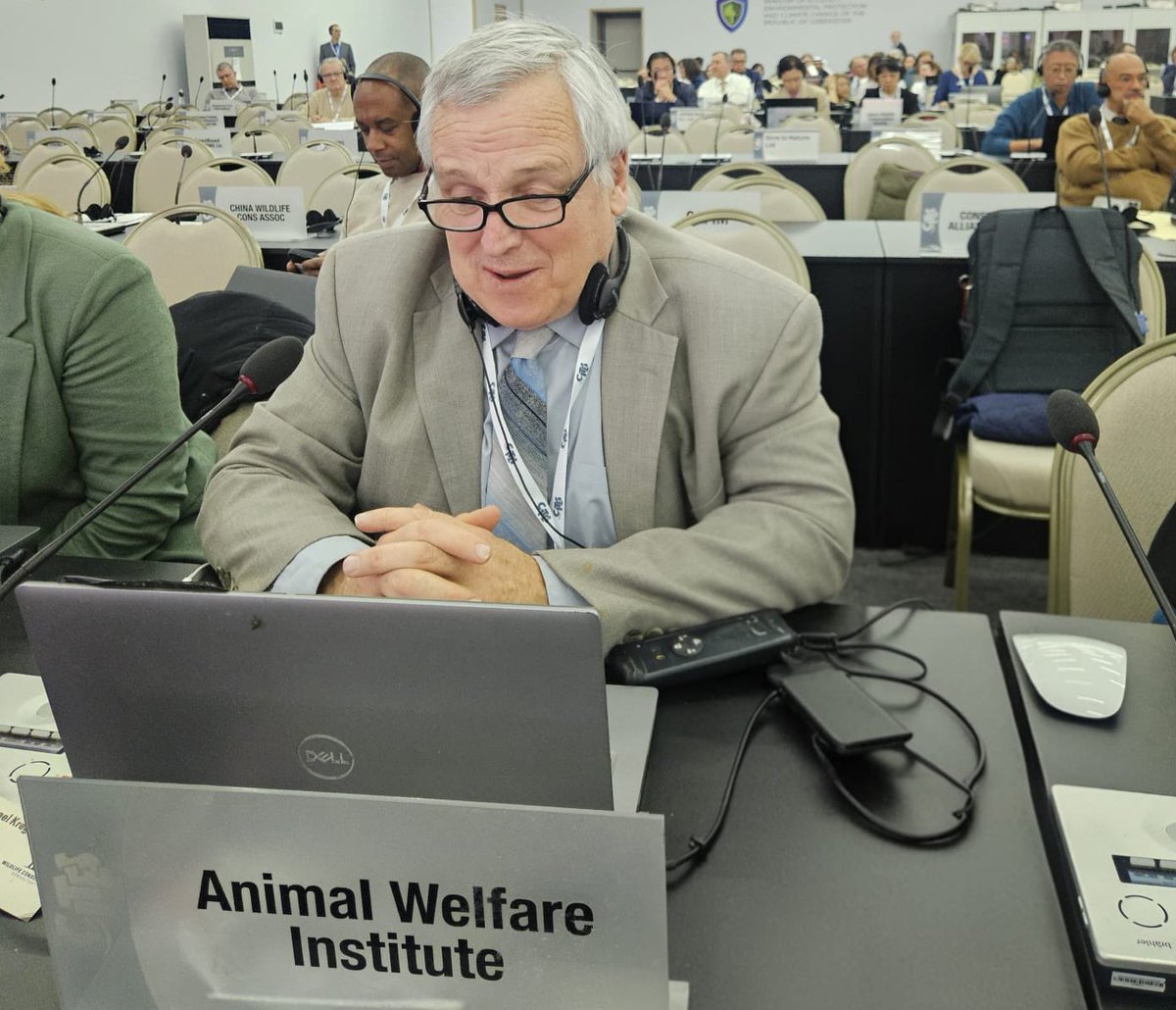 <a href="/mroblesg/">Marina Robles</a> <a href="/SEMARNAT_mx/">SEMARNAT México</a> <a href="/CITES/">CITES</a> A nombre de las organizaciones conservacionistas <a href="/AWIOnline/">Animal Welfare Institute</a> <a href="/CenterForBioDiv/">Center for Biological Diversity</a> y <a href="/NRDC/">NRDC 🌎🏡</a>, D.J. Schubert solicitó sanciones comerciales contra #México, por no cumplir en tiempo y forma con las acciones a las que se comprometió hace casi tres años. 

“Es profundamente decepcionante que