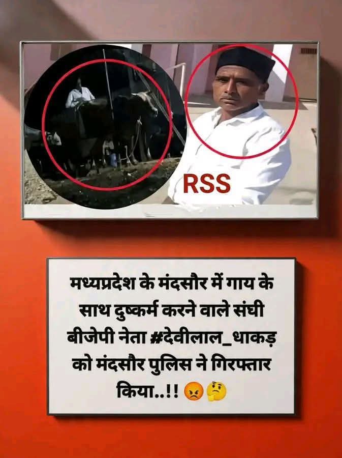 राष्ट्रीय समलैंगिक संघ 🚩
हिंदू खतरे में नहीं RSS के कारण गाय खतरे में है!
