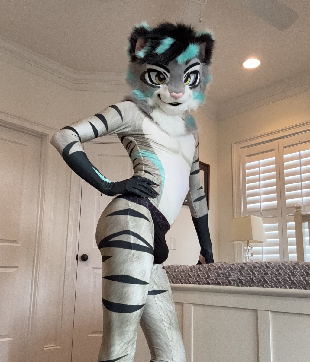 MintySnep's tweet photo. Sassy cat
#FursuitEveryday
π: @Awu_otter
π©±: @forfunbangkok https://t.co/plMoM2Vkdi