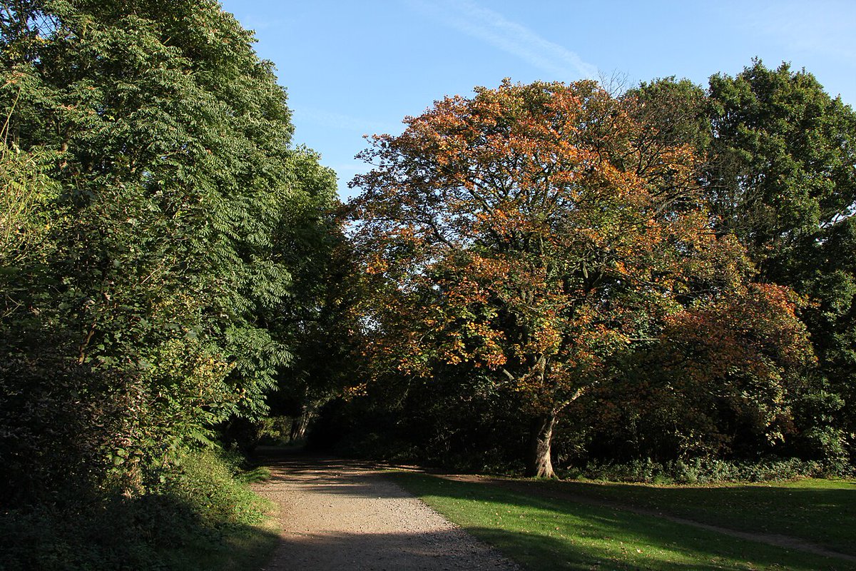 CLL49's tweet image. Sélection de #Parcs citadins en Europe #Dimanche  Hampstead Heath #Londres 🇬🇧 est un parc de 320 hectares très lié à la culture. Il a inspiré le jardin de #PeterPan, #Constable y vécut et le peignit, on l&apos;a souvent vu à l&apos;écran... #Photographie #Photography via Wikipédia #Parks🏞️