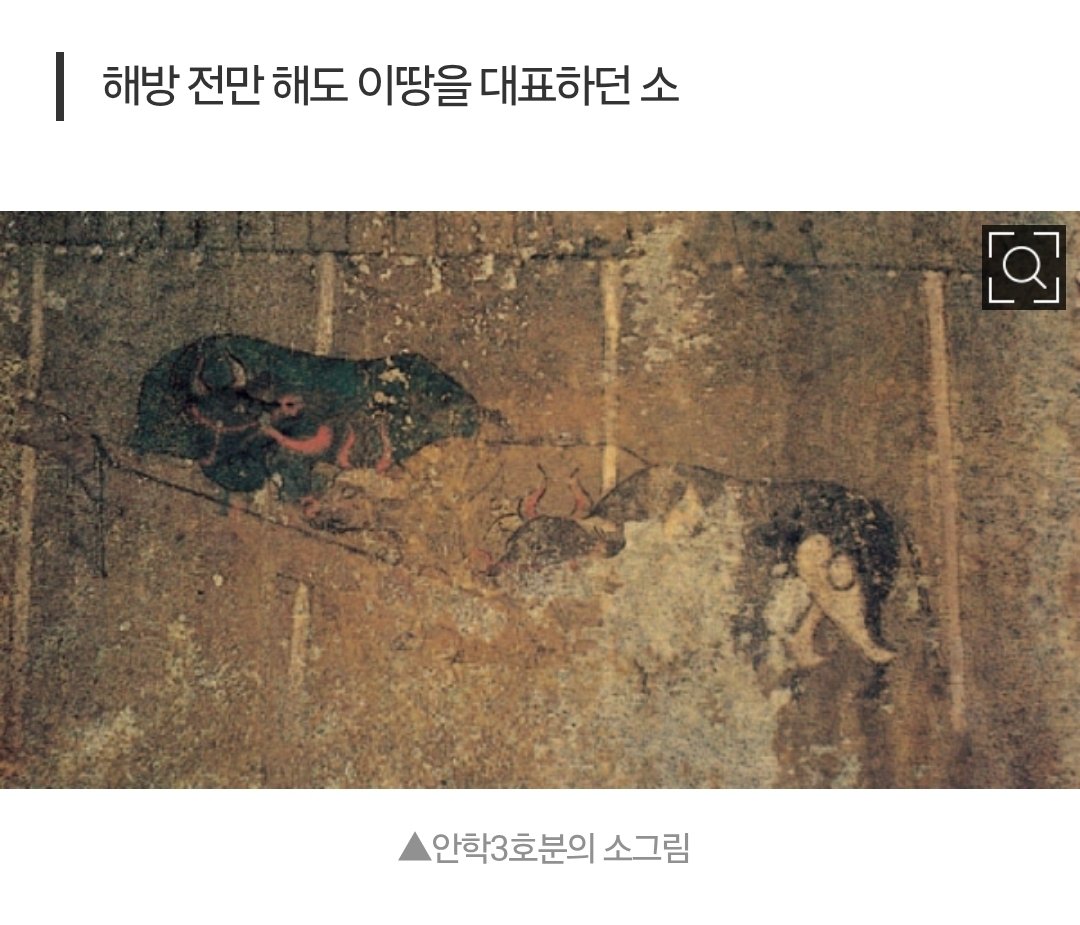 newssc.co.kr/news/articleVi…

한국에는 호랑이만 많았던 게 아니라 호랑이를 닮은 소도 많았죠. 그게 바로 칡소입니다. 원래 이게 근본 있는 소였는데.... 해방 이후 <황우 단일화 정책>으로 멸종 위기에 몰려 있다고 하네요.
