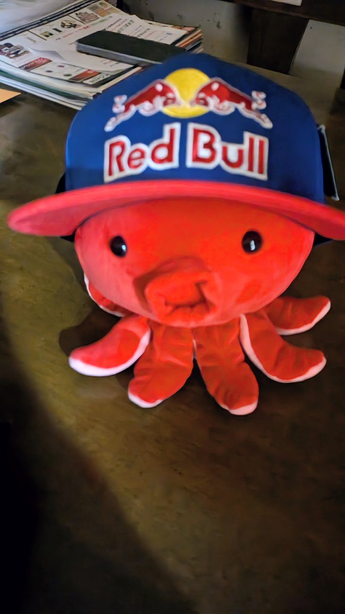 Tsukino_Ritochi's tweet image. 私の癒しのタコのぬいぐるみでございます。⁡
⁡可愛く帽子被らせてあげました。たこさんが伝えたいこと後あると思うそれはあたしにしかわからないです。たこさんも翼をさずける🐙✨ #redbull  #たこ  #帽子  #おすすめ  #ぬいぐるみの時間  #いいね返し