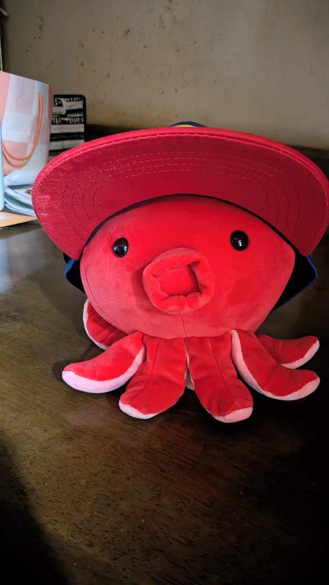 Tsukino_Ritochi's tweet image. 私の癒しのタコのぬいぐるみでございます。⁡
⁡可愛く帽子被らせてあげました。たこさんが伝えたいこと後あると思うそれはあたしにしかわからないです。たこさんも翼をさずける🐙✨ #redbull  #たこ  #帽子  #おすすめ  #ぬいぐるみの時間  #いいね返し