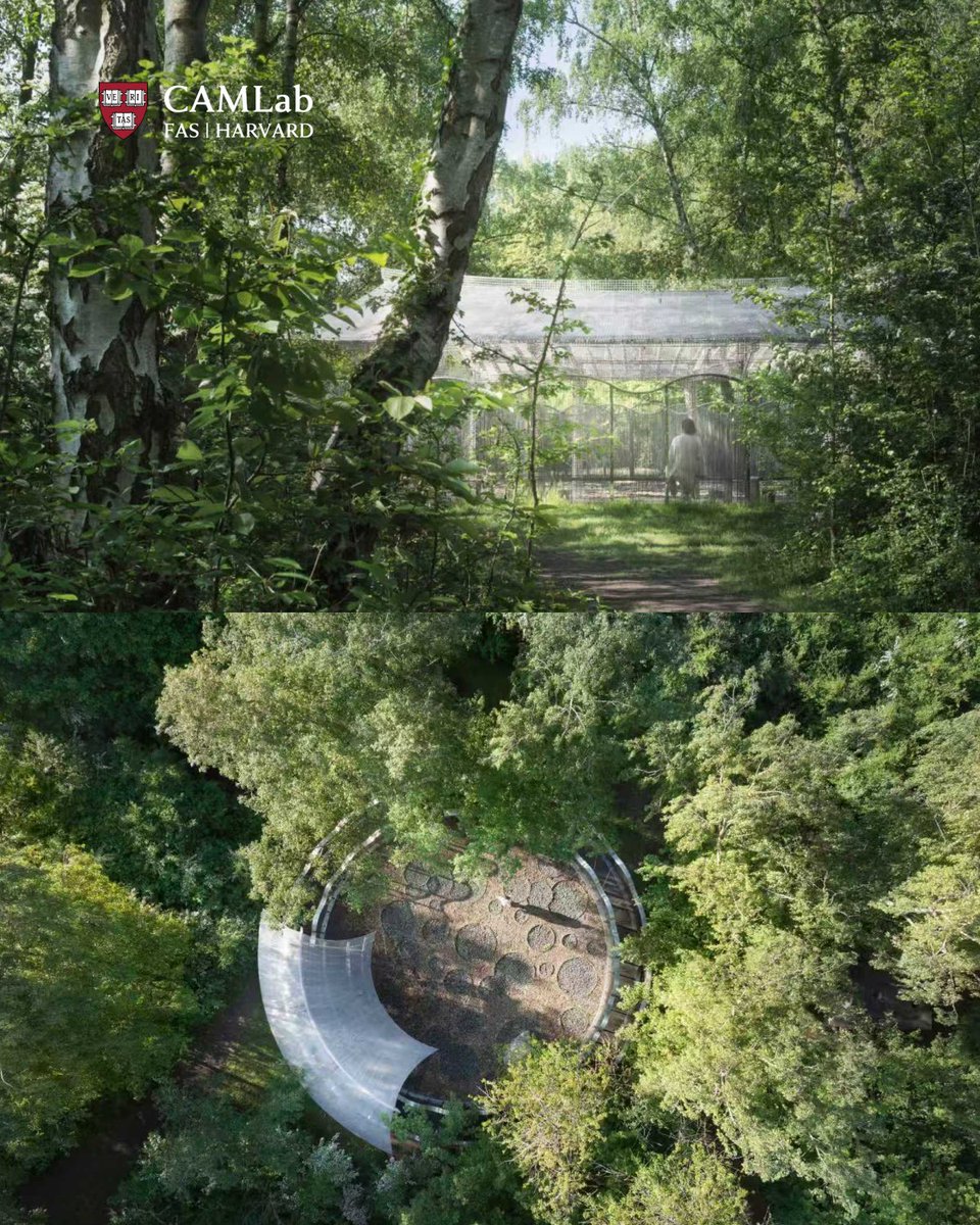 HarvardCAMLab's tweet image. On November 14, we were delighted to host CAMLab Visiting Scholar and Associate Professor Tian Leng from Nanjing University for an engaging lecture, “The Chinese Garden at the Louvre-Lens: Concept and Practice.”

Professor Leng, an expert in modern Chinese architectural history…