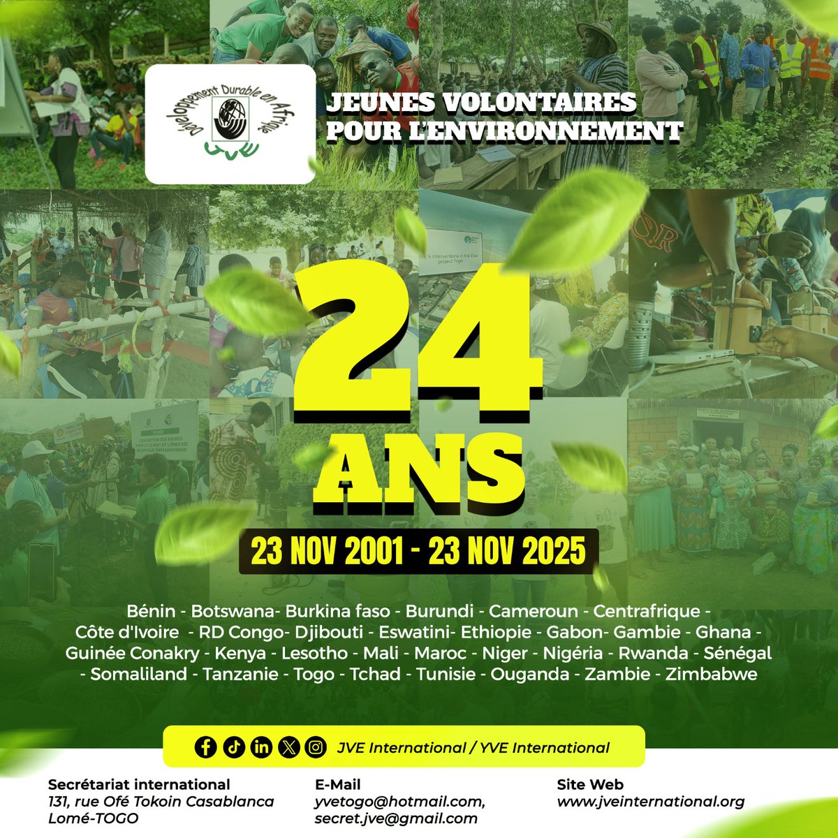 JVE International tweet media