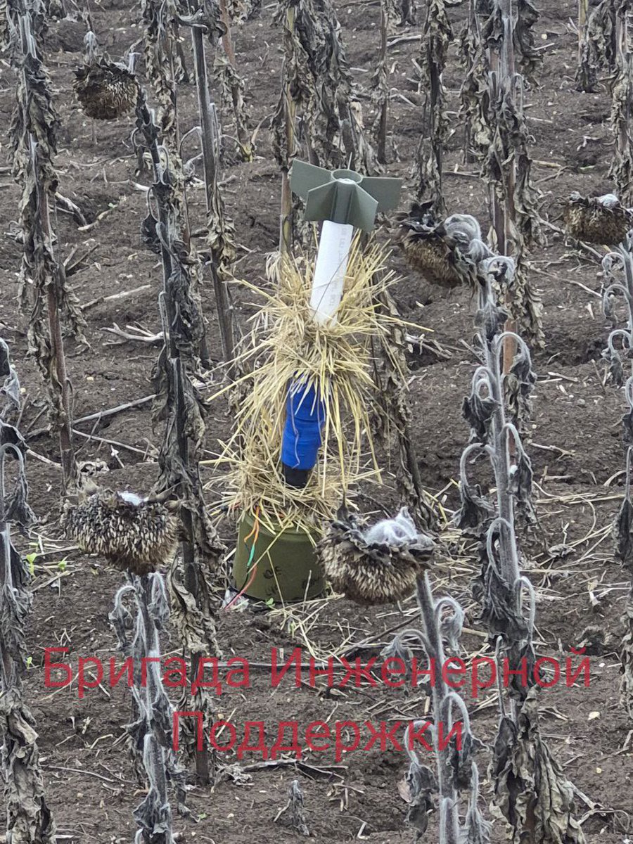 Drone_Wars_'s tweet image. Under certain conditions, the sensor&apos;s sensitivity can reach 15 meters. The photographer is lucky.