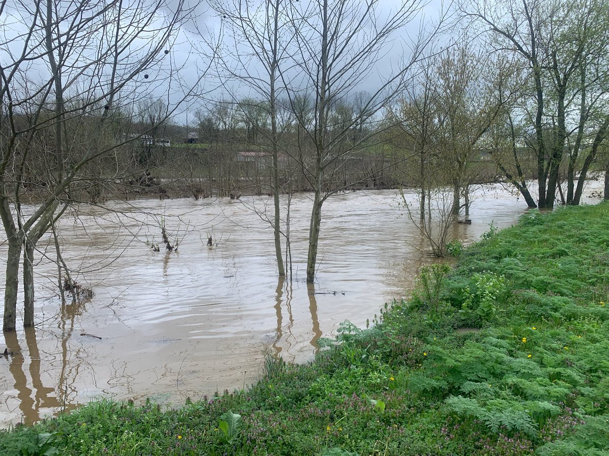 Good Morning America 🇺🇸 how are ya, dont ya know me, I’m your native son 

X theme song this week 👍🏻