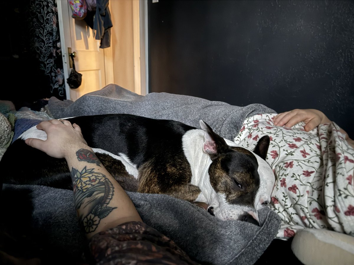 nothing can truly hurt me in life bc this is what I wake up to daily