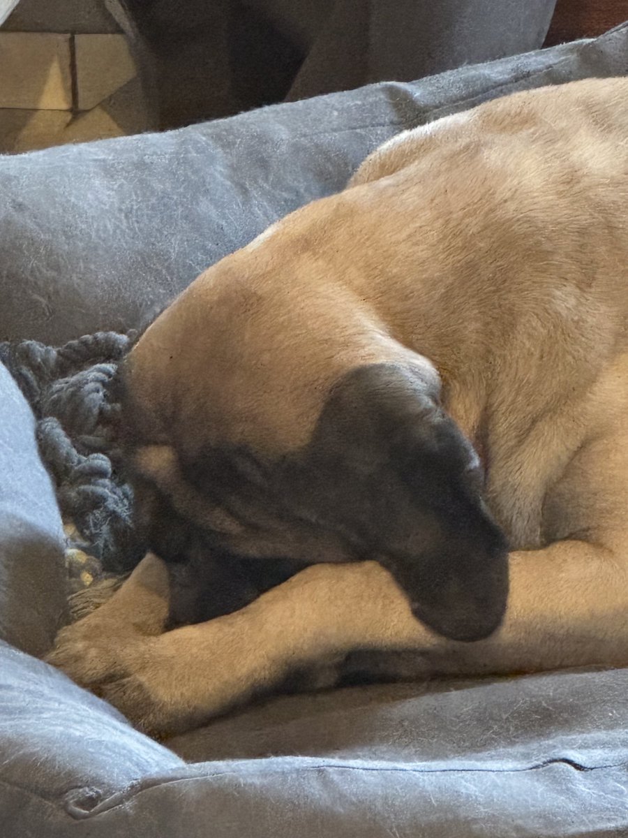 Crevant cette matinée à l’entraînement avec Papy !