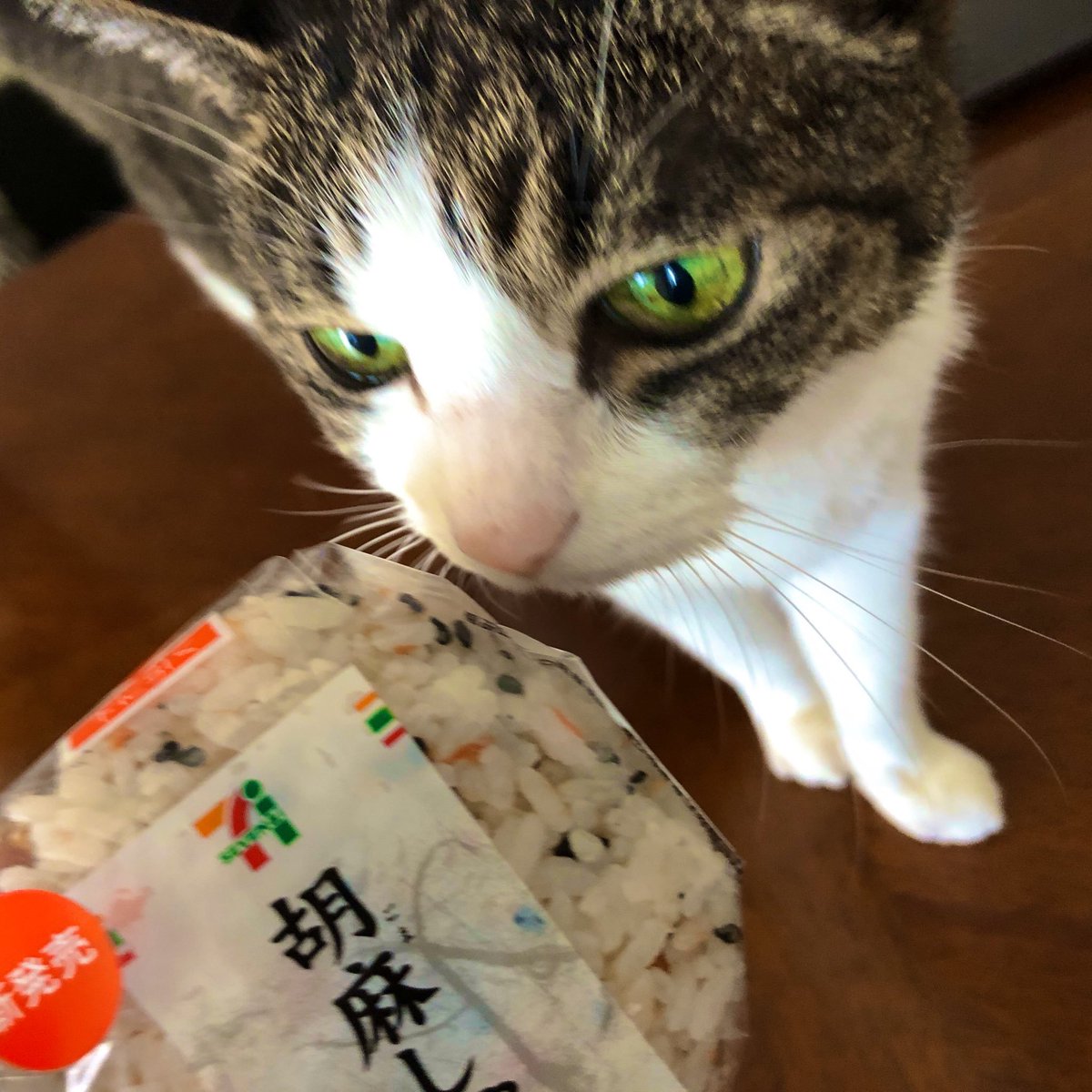 にゃぱねっと♂ (@288os) / Posts / X