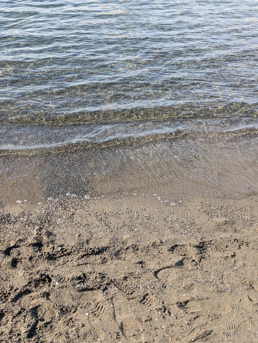 csfire_h's tweet image. 謎解き街歩きお疲れ様でした！
実は初めての内浦だったんだけど、世界観に入り込めてよかったなあ