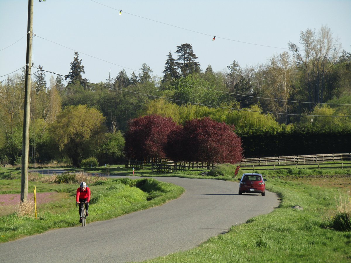 routinecolours's tweet image. Woke up and missing spring