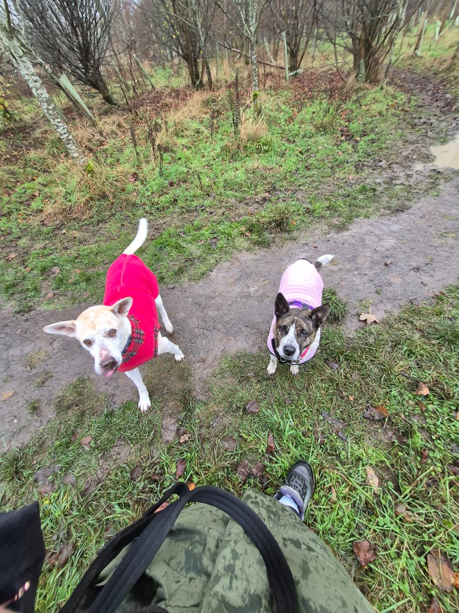 NiallHarbison's tweet image. So proud of them ❤️