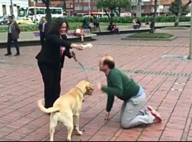 A veces no quiero dar entrevistas a cómicos que se disfrazaron de periodistas, ni activistas que pretenden ídem.