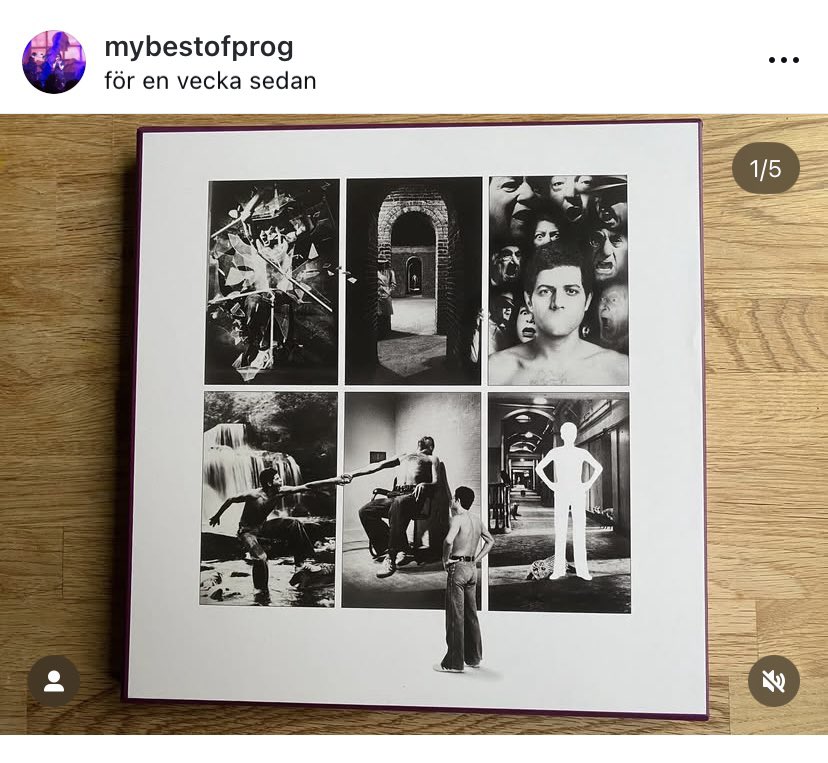 Best of Prog tweet media