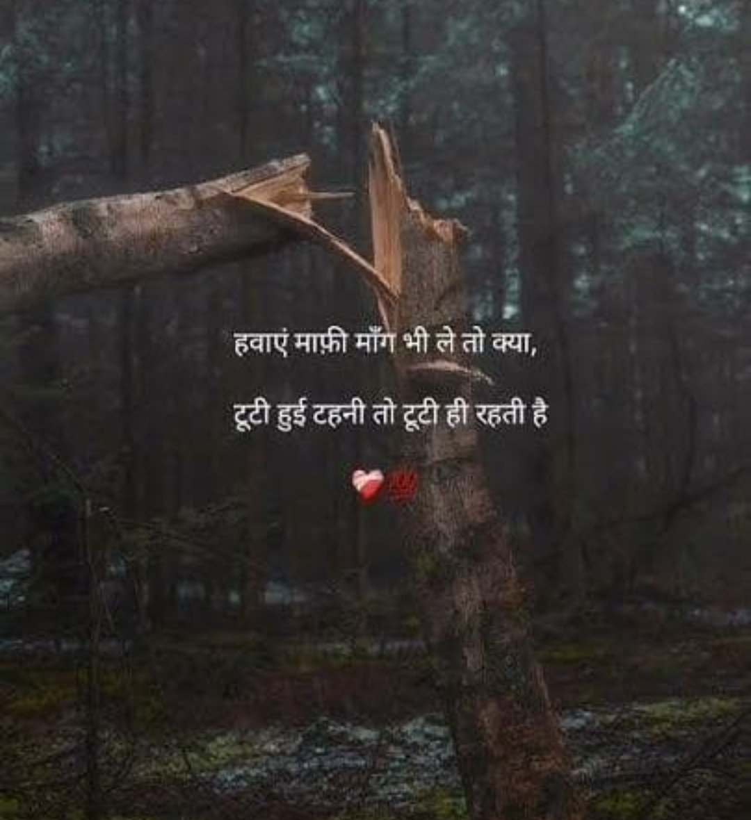K M tweet media