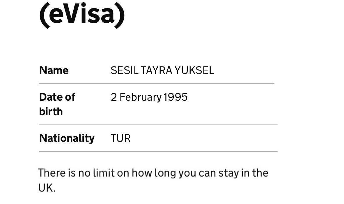 sesil tayra tweet media