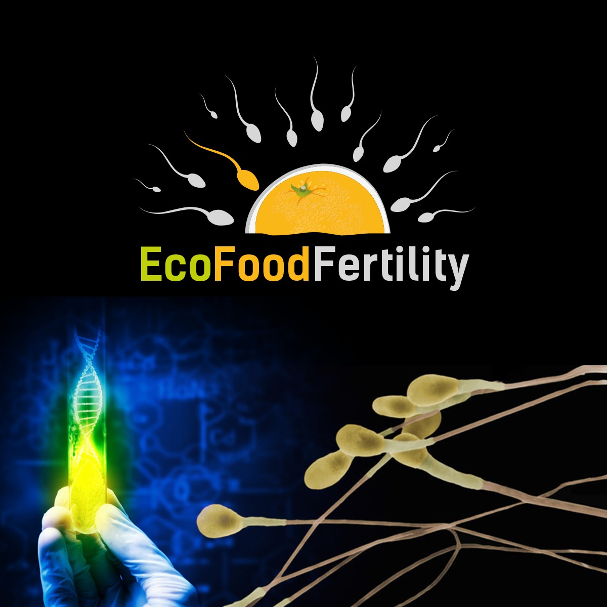 luigimontano's tweet photo. Rigeneriamo l'Italia dal SEME #musk #elonmuskheart #Elon #elonmuskfreedom #elonmuskboys #alarm #sperm #spermageddon #fertility #Nationalcoffeday #infertility #Italy #Italia #natality #fertility #duet #Trending #instagood #fashion #ecofoodfertility #luigimontano #fypシ #foryou #US https://t.co/cWes0mfrhl