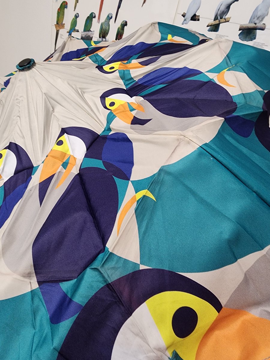 𔒞ようむのしっぽ𔒞🦜 (@PARROT221985) / Posts / X