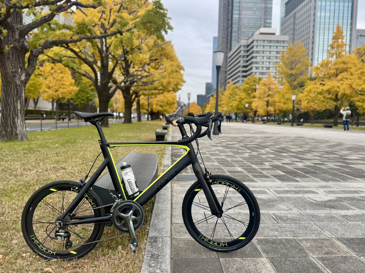 cool_hanzo's tweet photo. #surge
#tern https://t.co/m06MkGjYp2