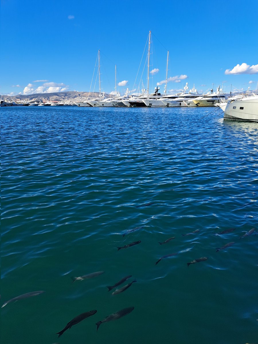 mapdevil's tweet image. #CurrentView #Athens