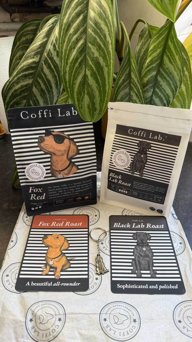 Matt Guest tweet media