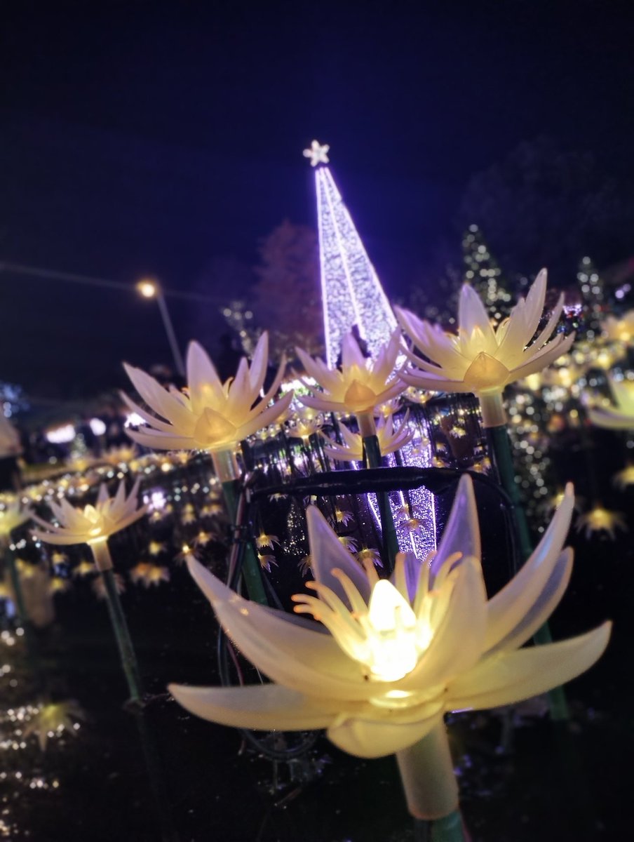 クローバー♧ (@clover_Dec25) / Posts / X