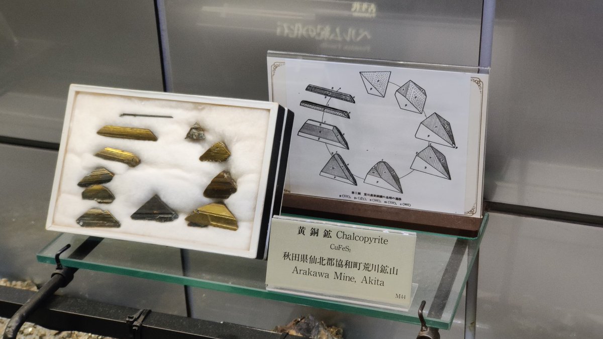 rica1663's tweet photo. 見どころいっぱいの地質標本館でしたが…
超個人的にテンションが上がって思わず写真を撮ったのは以下3つかな？

①大好き紫水晶は富井と雨塚が立派＆綺麗でウキウキ♡
②銘柄品荒川の三角銅の大きさと相図に感激✨️
③地元愛知のでっかい水晶にびっくり！
#地質標本館 https://t.co/PKmgZPonBJ
