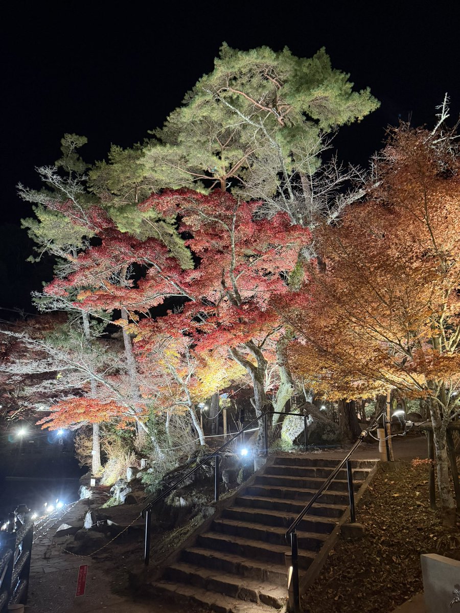 Libra_ELIMI's tweet image. ツーリング帰宅直後
息子がどうしても行きたい
紅葉🍁があると
クタクタなんですがー
自宅から5分にある
岩谷堂公園のライトアップ🔦

確かに綺麗だと思います

でもな息子よ
どんな綺麗な紅葉も
愛車と一緒じゃなきゃ
私にはかすんで見えるんだぜ

＃岩谷堂公園
＃ライトアップ