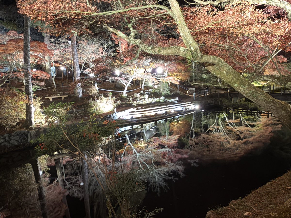 Libra_ELIMI's tweet image. ツーリング帰宅直後
息子がどうしても行きたい
紅葉🍁があると
クタクタなんですがー
自宅から5分にある
岩谷堂公園のライトアップ🔦

確かに綺麗だと思います

でもな息子よ
どんな綺麗な紅葉も
愛車と一緒じゃなきゃ
私にはかすんで見えるんだぜ

＃岩谷堂公園
＃ライトアップ