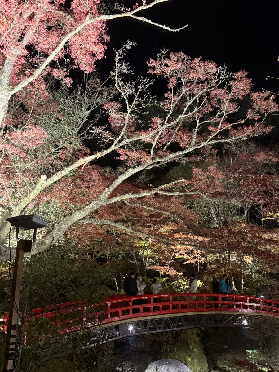 Libra_ELIMI's tweet image. ツーリング帰宅直後
息子がどうしても行きたい
紅葉🍁があると
クタクタなんですがー
自宅から5分にある
岩谷堂公園のライトアップ🔦

確かに綺麗だと思います

でもな息子よ
どんな綺麗な紅葉も
愛車と一緒じゃなきゃ
私にはかすんで見えるんだぜ

＃岩谷堂公園
＃ライトアップ