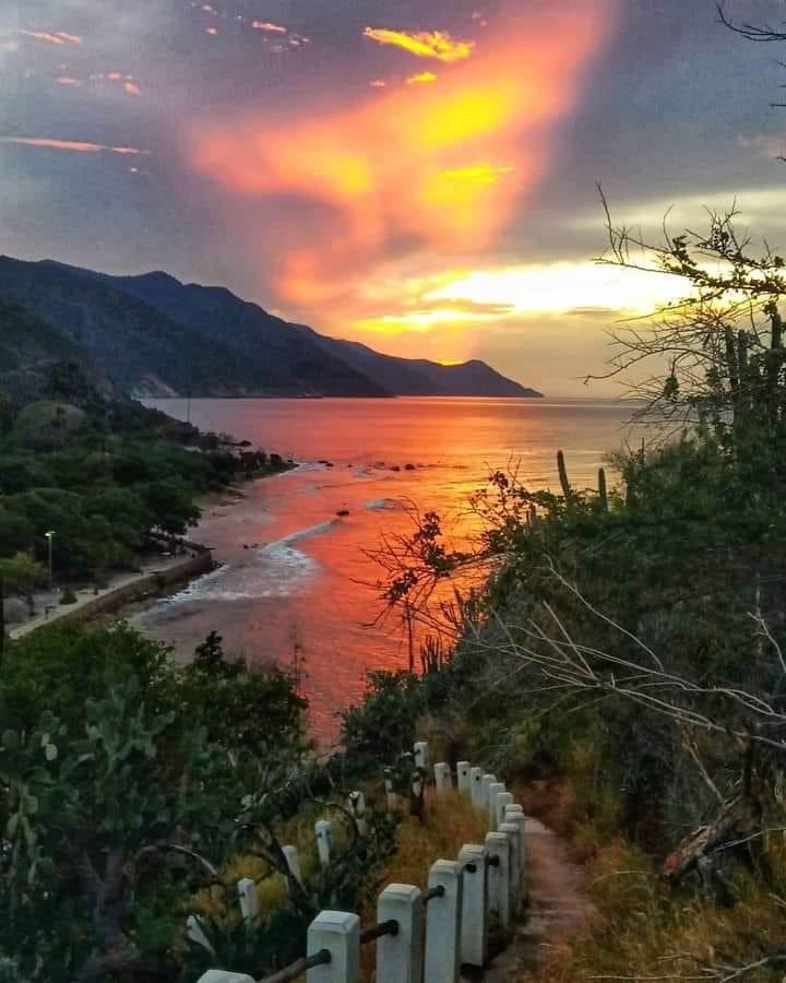 GianlucaCoccon1's tweet photo. Hermoso atardecer 
CHORONI Edo Aragua VENEZUELA 🇻🇪🇻🇪🇻🇪🇻🇪🇻🇪🇻🇪🇻🇪🇻🇪🇻🇪🇻🇪🇻🇪🇻🇪🇻🇪🇻🇪
⁦@venezuelaenfoto⁩ https://t.co/KhM2gcS7Bz