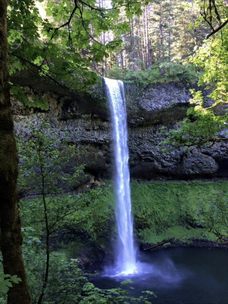 ThomasP63871233's tweet image. My Happy place this easy Sunday morning. The north fall, Silver falls state park, Oregon. As a boy growing up in Silverton, this was my backyard for 12 years 💙💧🎣(couldn&apos;t begin to count the rainbow trout I caught in this pool through the years 😊) #blessedbeyondbelief